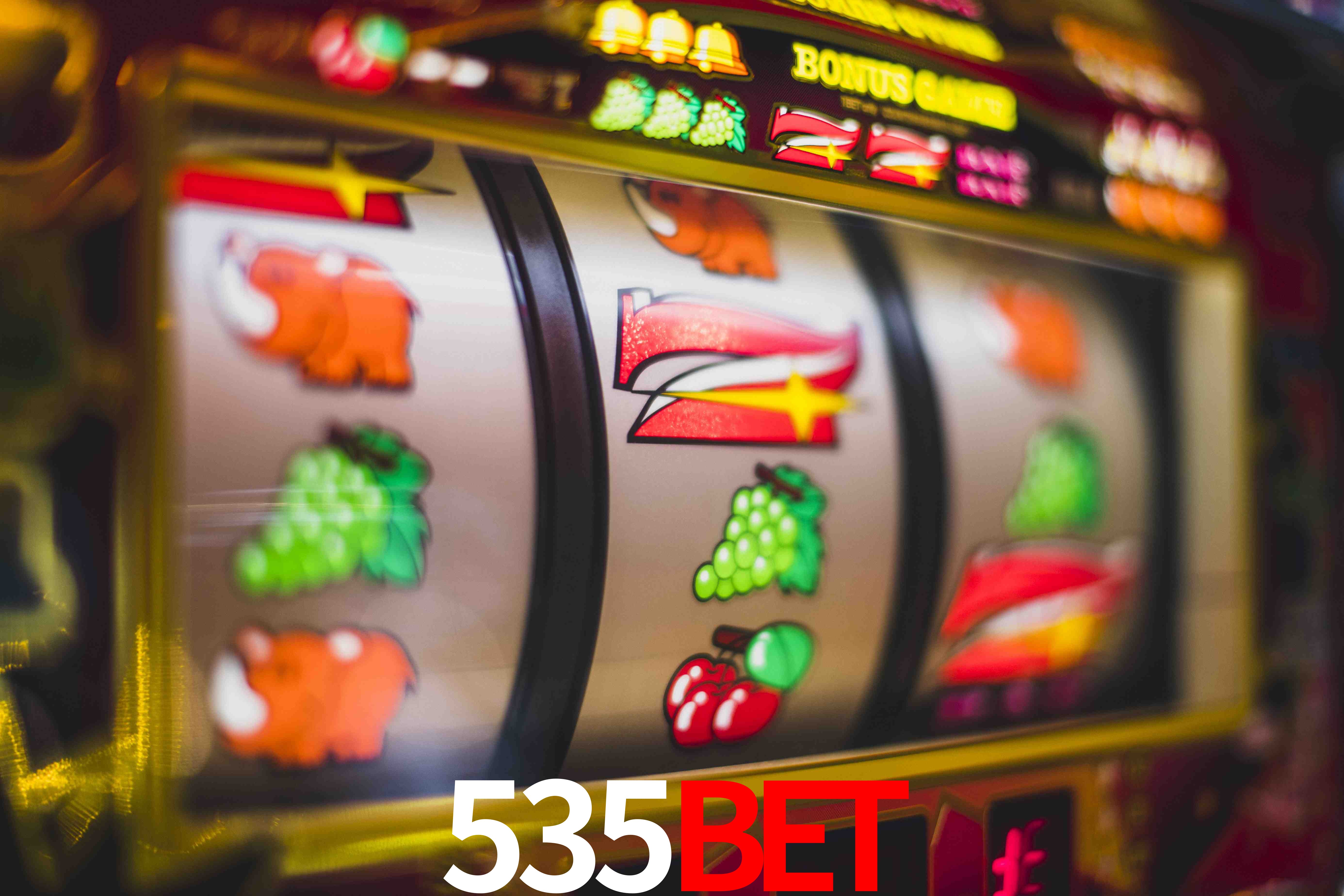 Experiência VIP 535bet