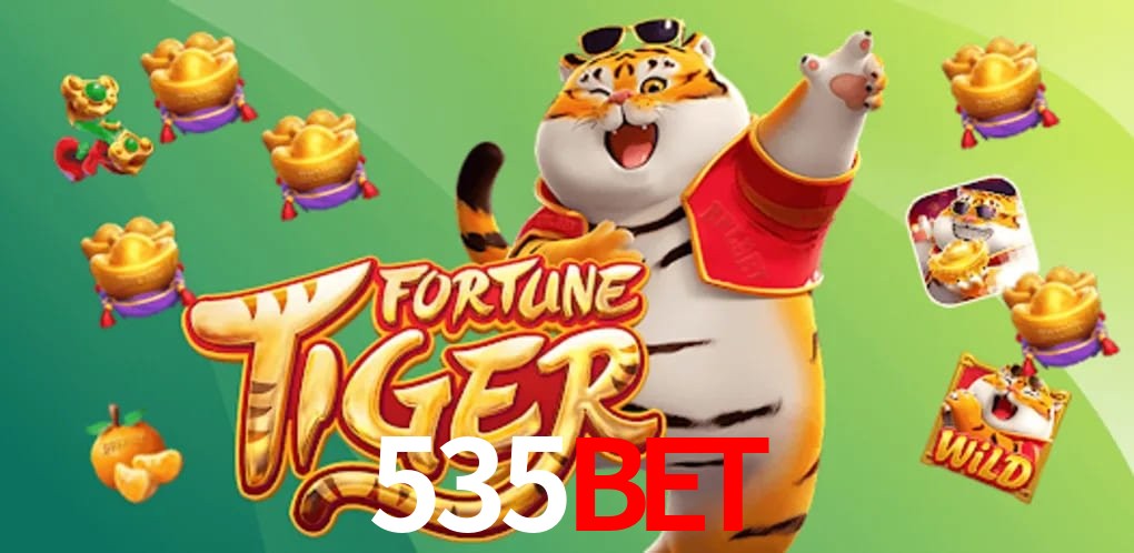 Experiência VIP 535bet